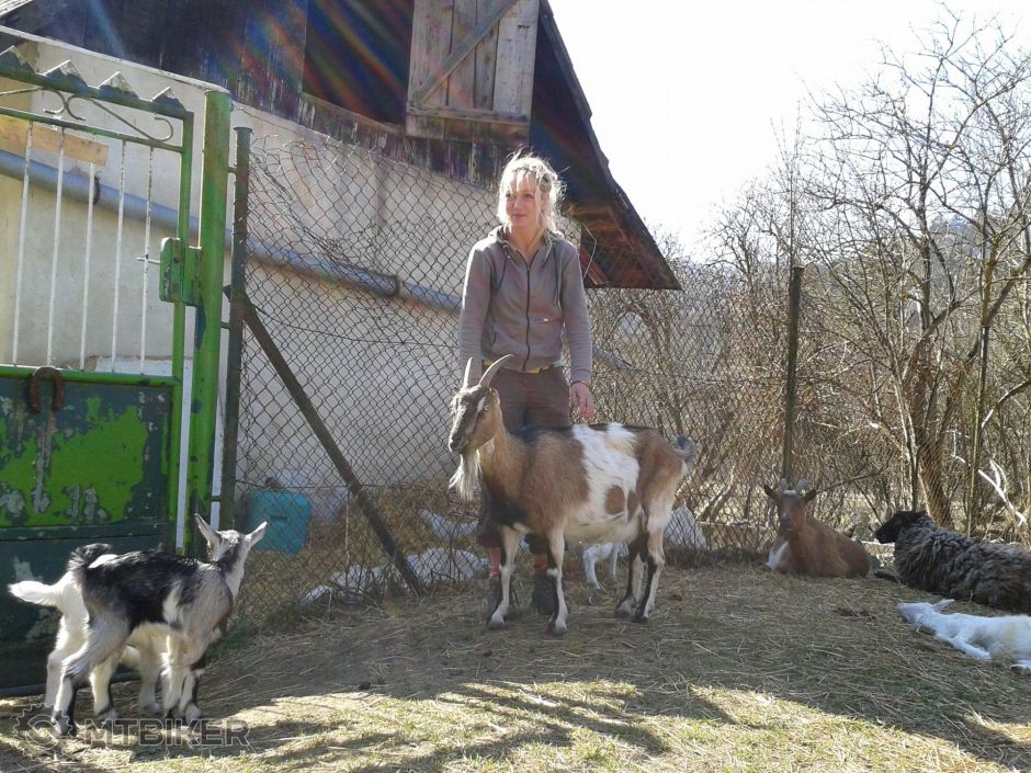 2014-03-22 11.34.01.jpg