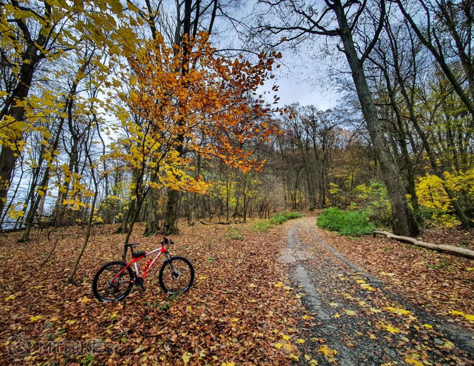 20231118_122245 (2).jpg