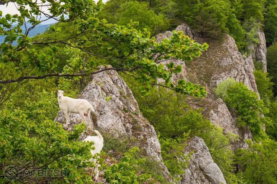 Biele Karpaty 07.-08.05.2018 (65).jpg