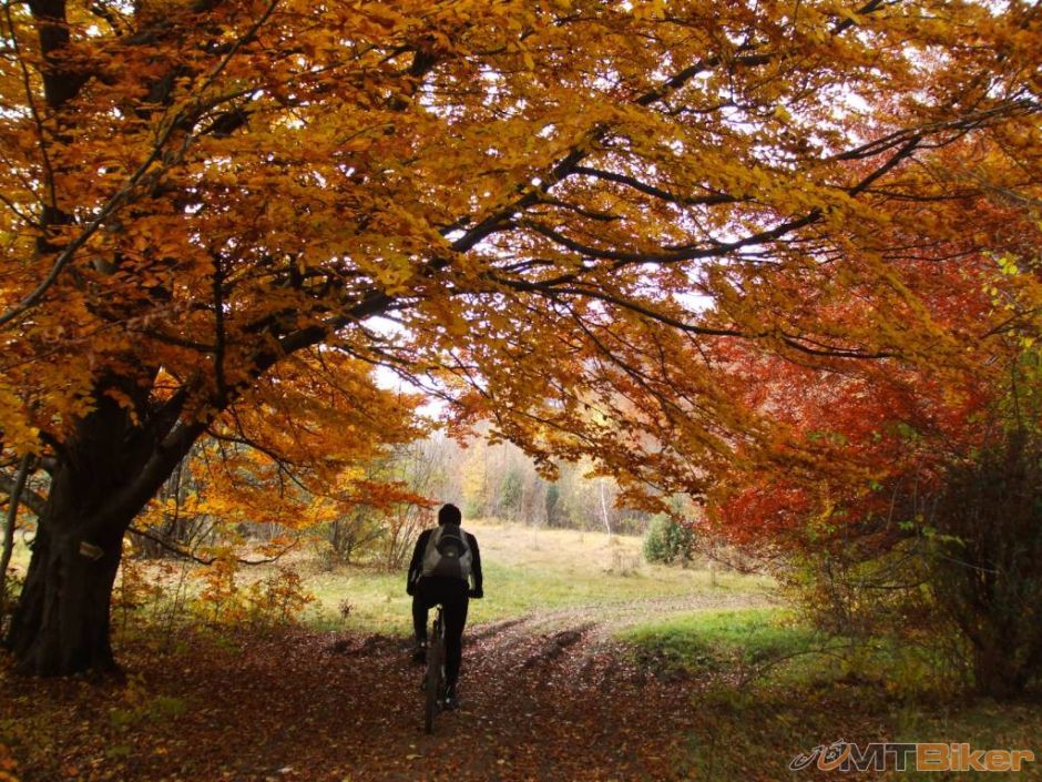 na plesiveckej planine.jpg