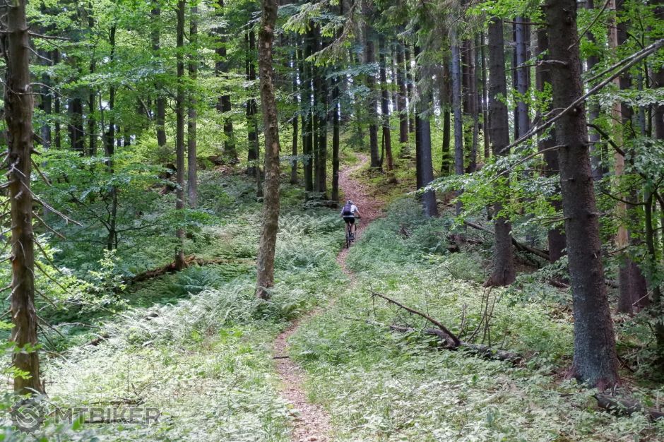 20190628_10-52-48_1-180 sec at f - 5,0_ISO 3200_51 mm_POLN9625.jpg