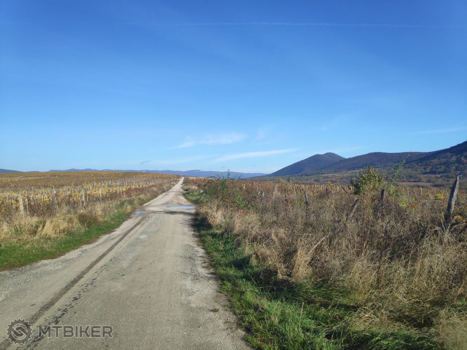 wine road na felsotarkany.jpg