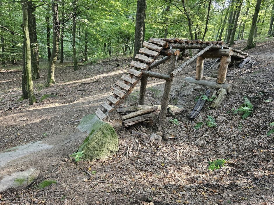 Trail Krive jarky.jpg