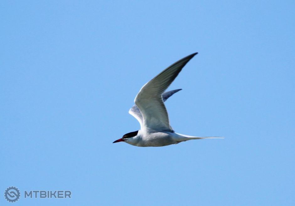 IMG_3404 - kópia.JPG