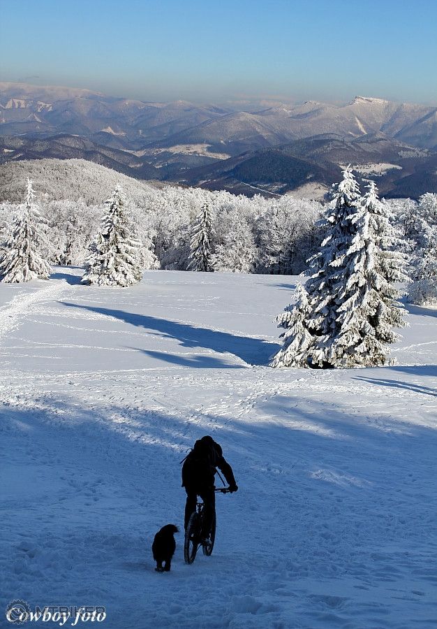 20210214 377 RB small.JPG