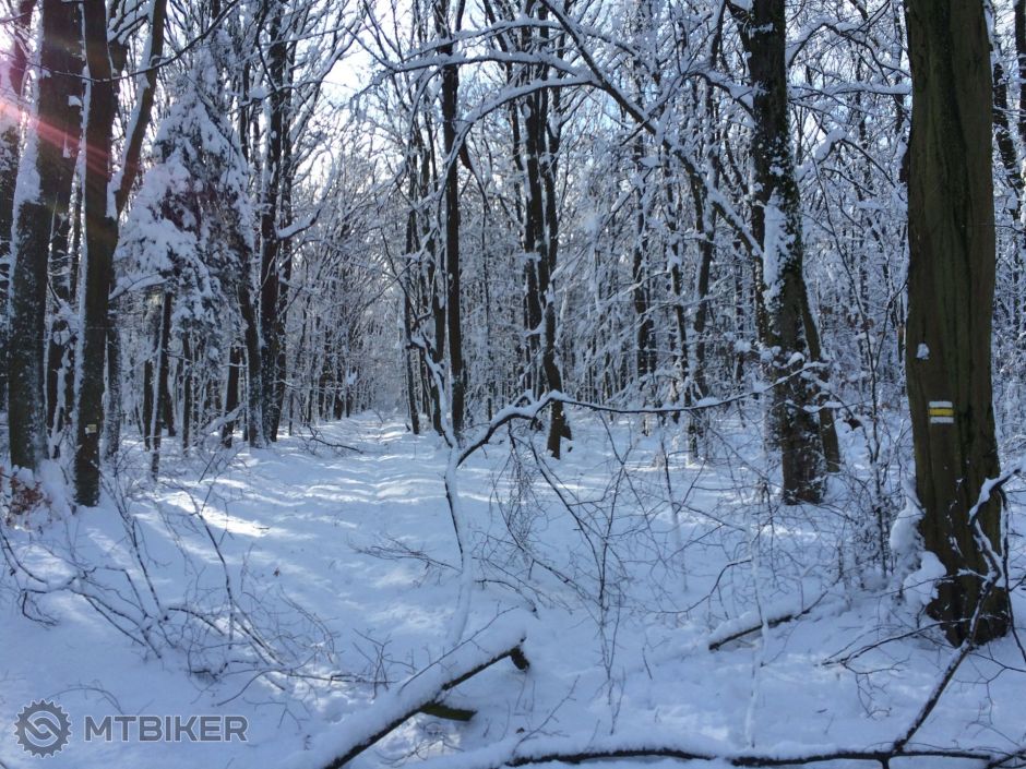 2015-01-31 13.36.41.jpg