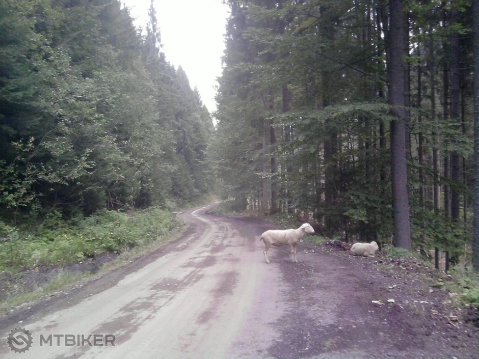 Resized_Copy ofP190914_15.32.jpg