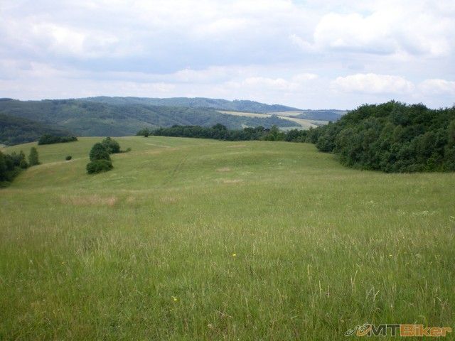 trava vysoka po pas..cesta nikde.jpg