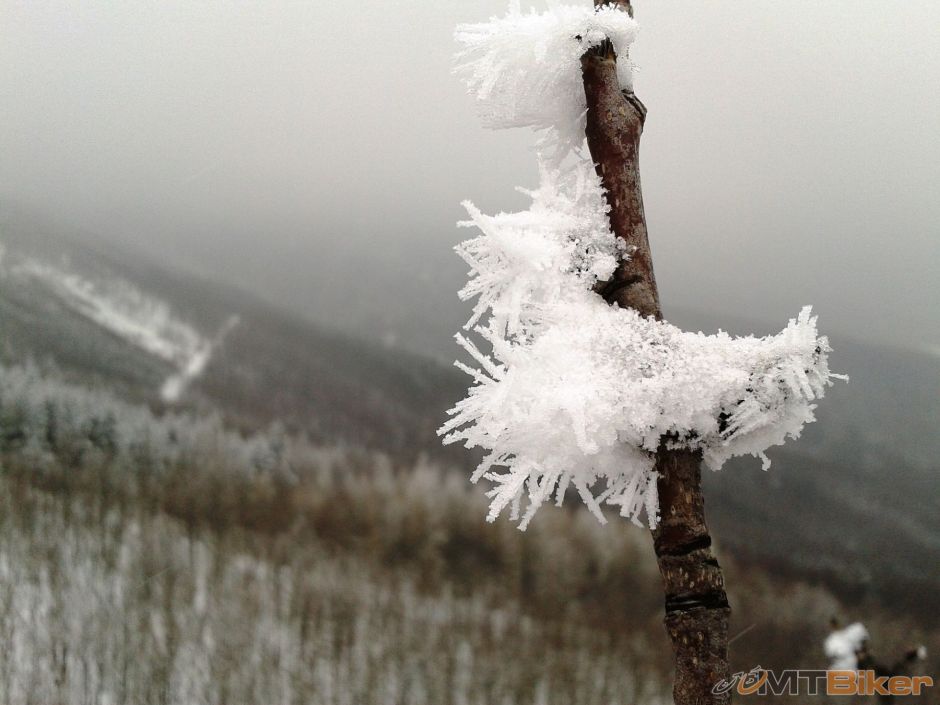 2013-03-28 12.51.51.jpg