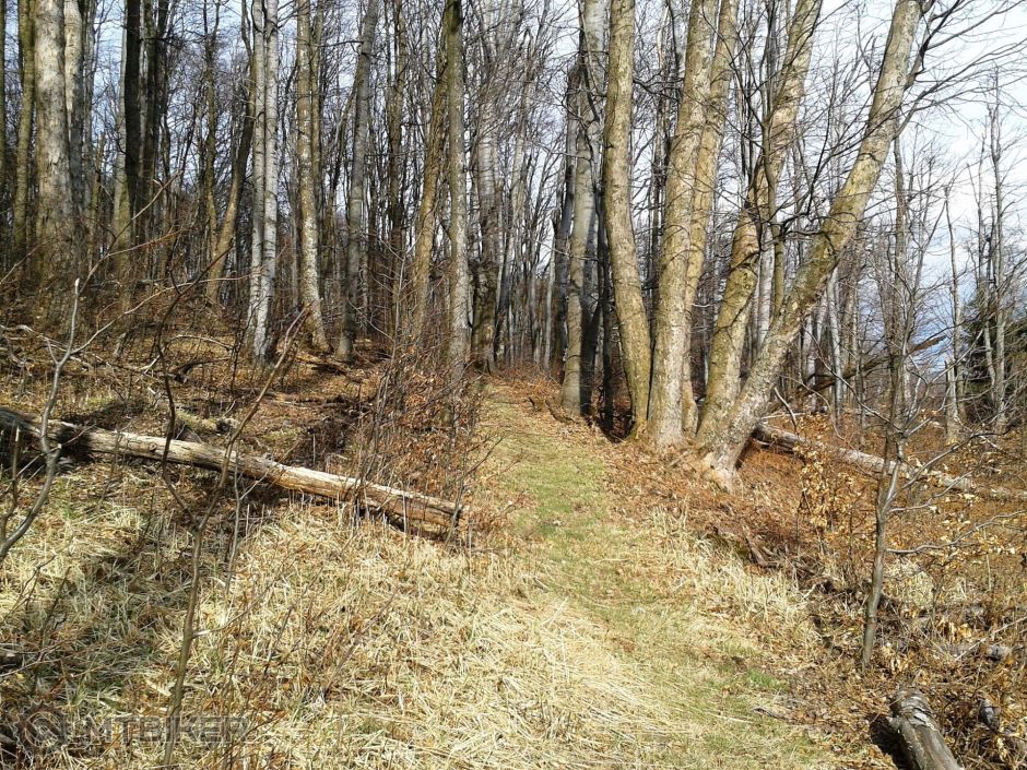 2014-03-23 14.37.00.jpg