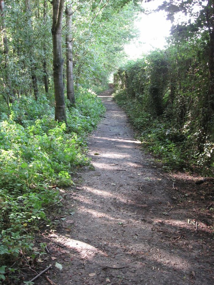 cyklochodnik pri Heerlene.jpg