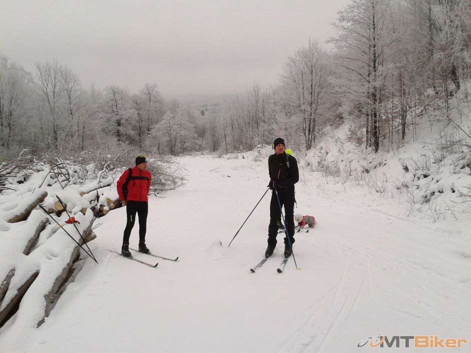 2012-12-23 11.48.18.jpg