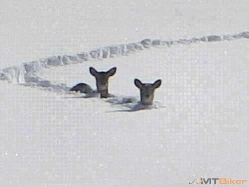 jar sa blíži....jpg