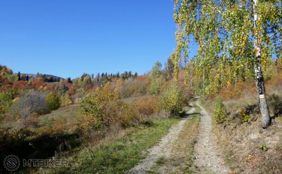 -stolica22 435ru.JPG