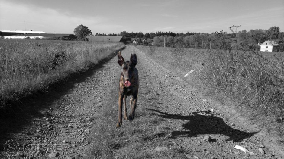 2012-09-30-806 ColorizIt 2012-10-16_12-8-13.jpg