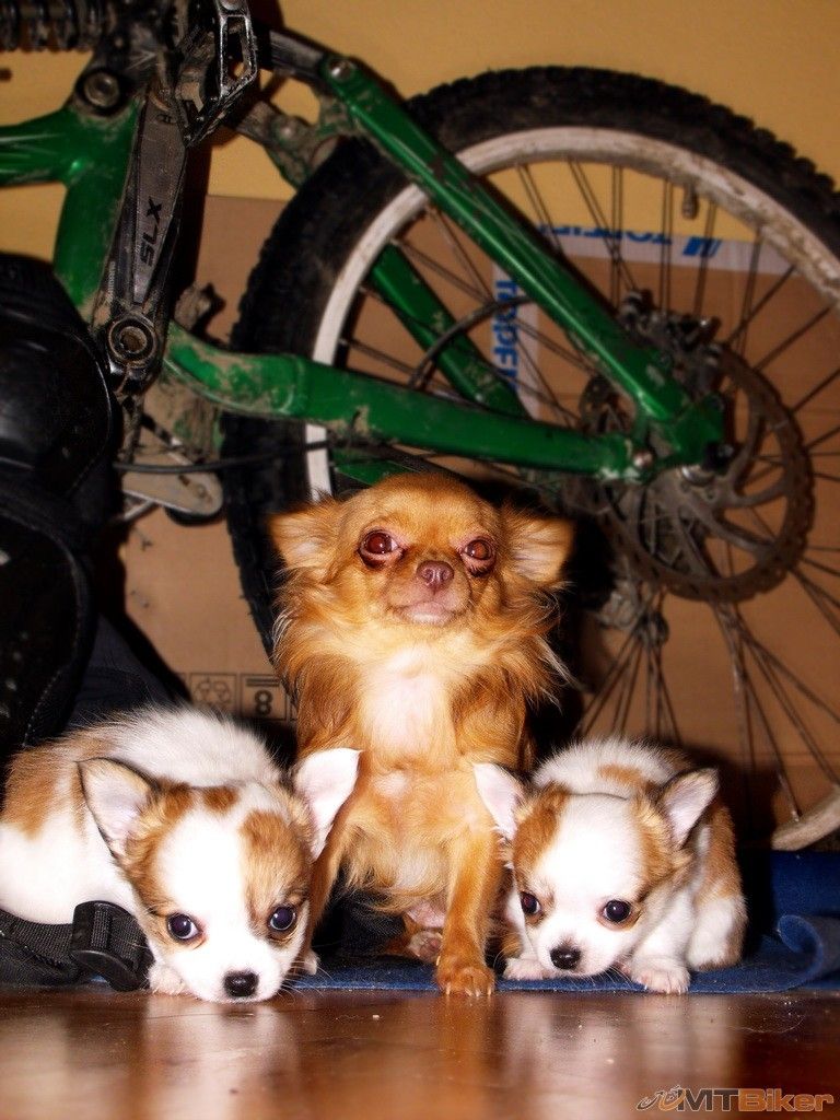 DSCF7415 copy_resize.jpg