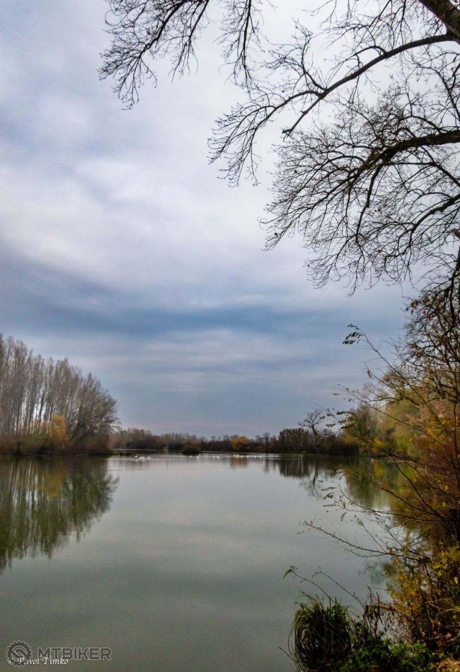 Malý Dunaj Potôň 001.jpg