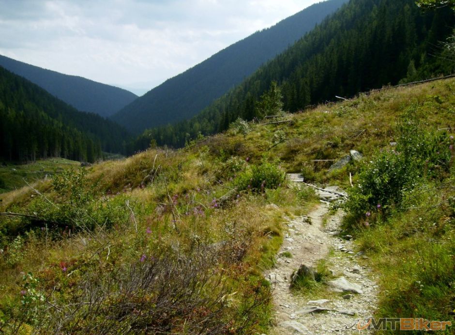 P8240017 (1024x753).jpg