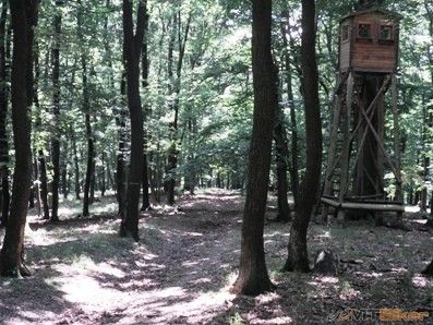 Posed na zvaznici z Uhlenky.JPG