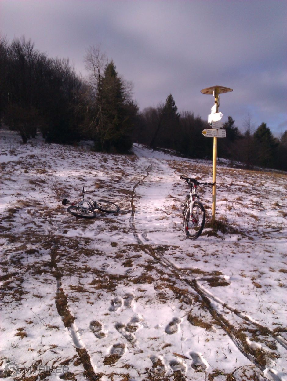 IMAG2997 - kópia.jpg