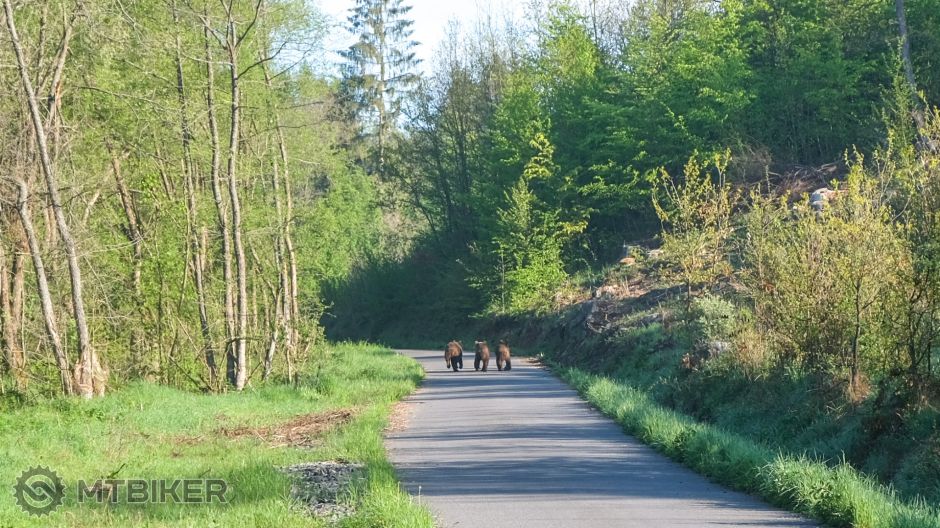 20190511_07-19-42_1-300 sec at f - 5,6_ISO 200_75 mm_DSCF1399.jpg