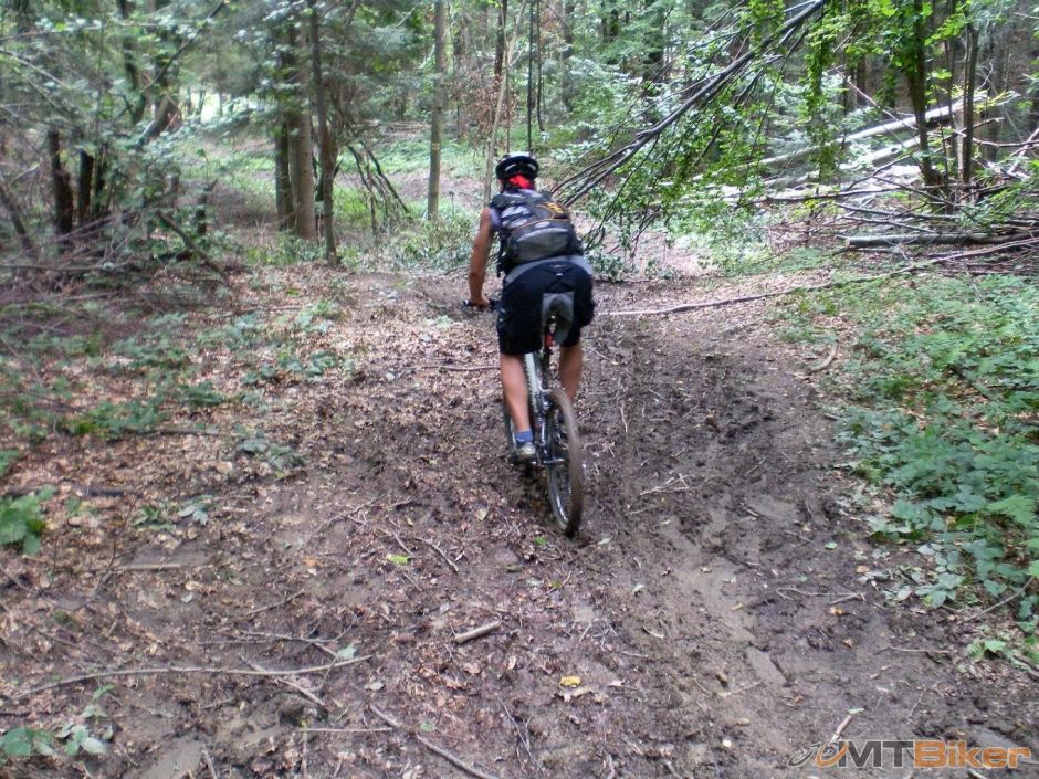 jeden konar na ceste inak cista.JPG