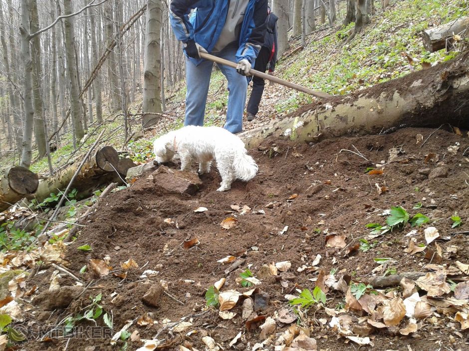 2014-04-12 12.47.38.jpg