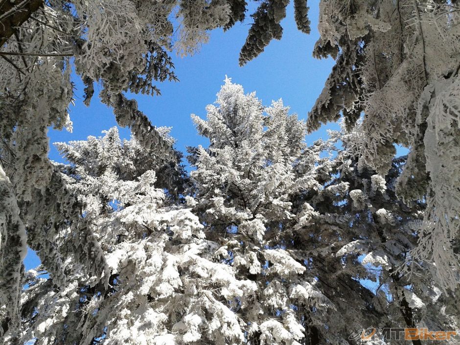 2013-03-24 12.02.11.jpg