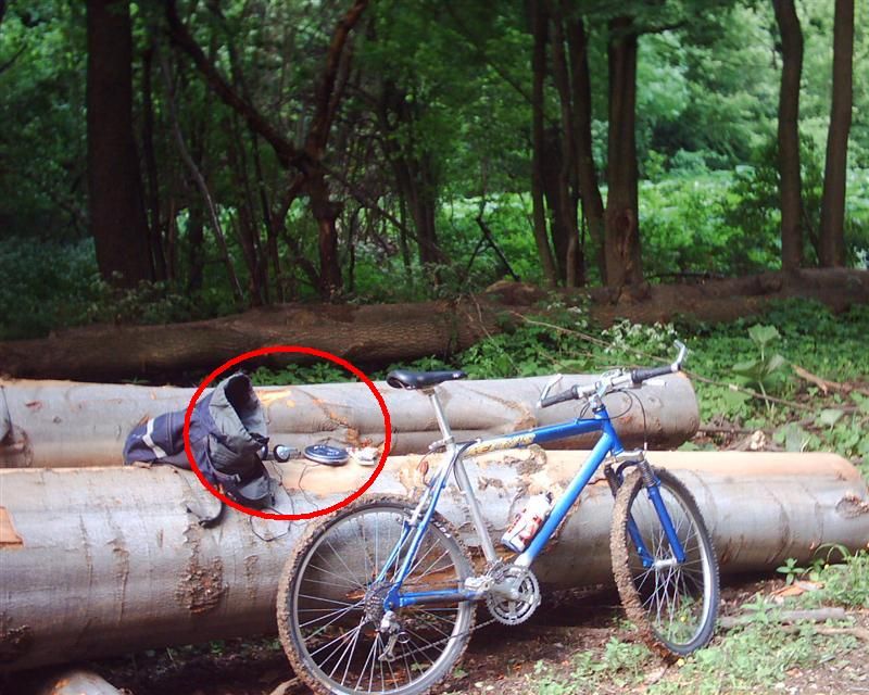 DSC00000 (Medium).JPG