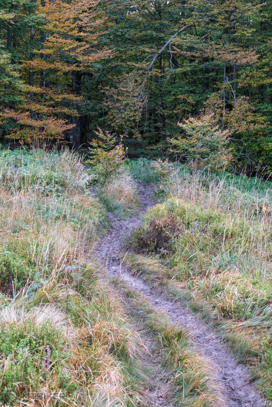 20201010_08-03-44_1-80 sec at f - 5,0_ISO 400_49 mm_DSCF8439.jpg