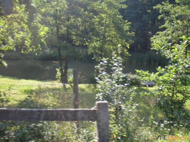 maju tu aj jazierko...jpg