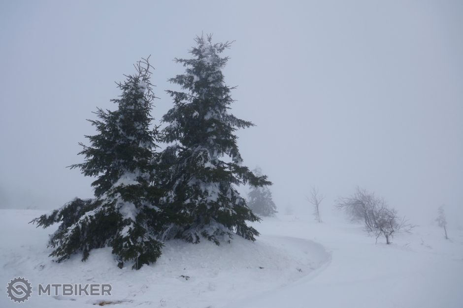 _kojsa_21dec 667ru.JPG