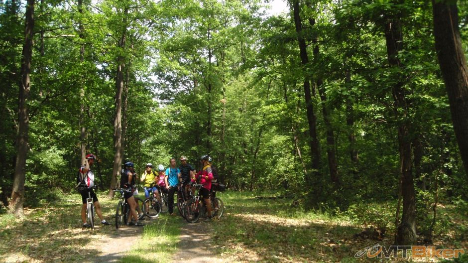 Jedenásť mesiačikov.JPG