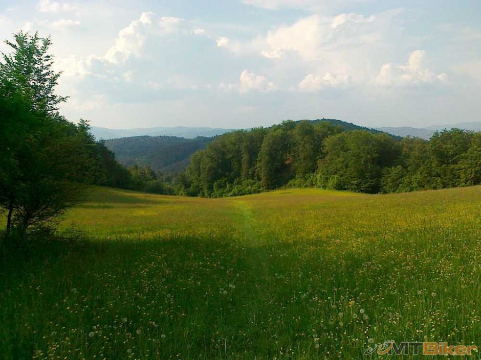 cistenie maj 002.jpg