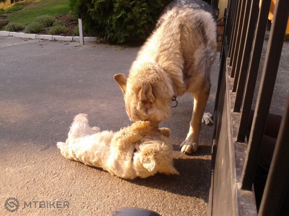 2013-08-29 17.24.51.jpg