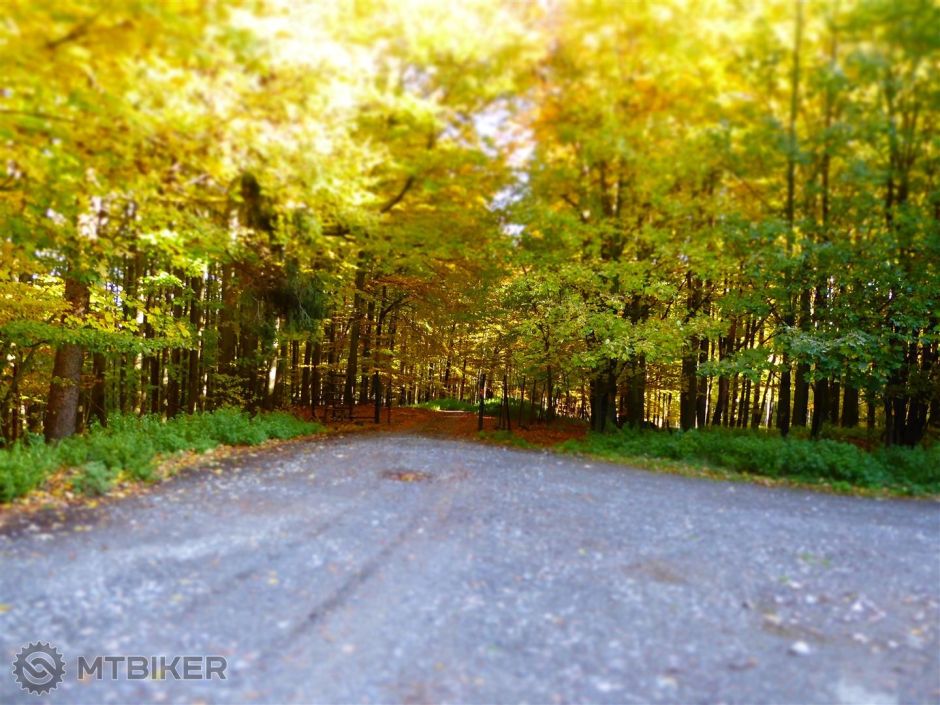 P1000773 (Large).JPG