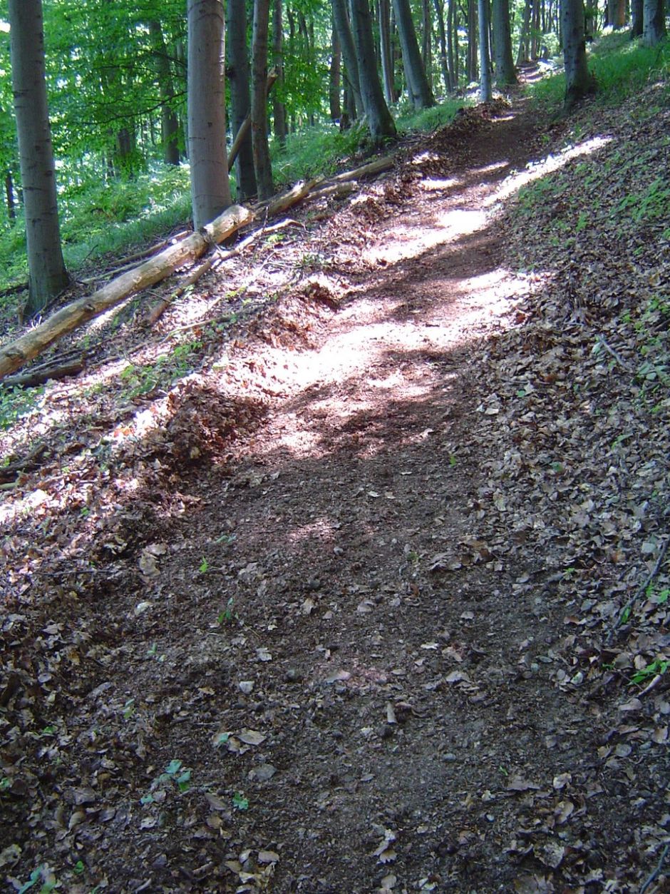 Nasledujúca časť.JPG