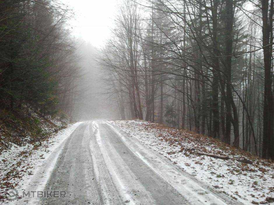 2014-01-18 10.38.56.jpg