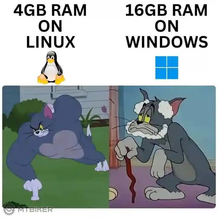 ram.jpg
