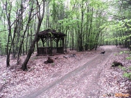 Altanok na obchadzke.JPG