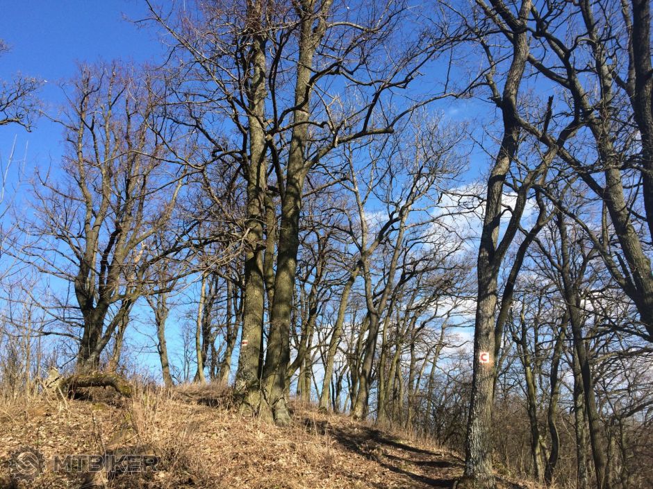 2015-03-07 14.27.18.jpg