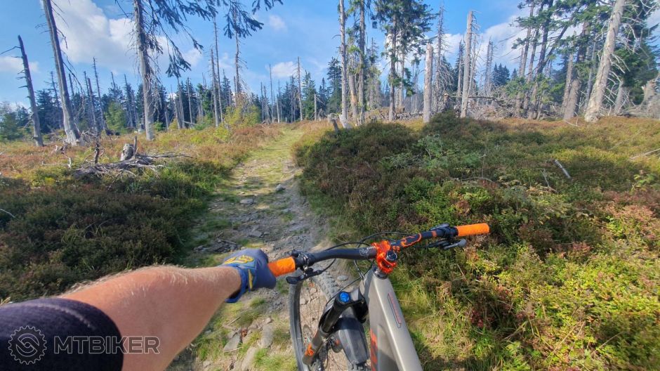 2023-09-12 13.17.35.jpg