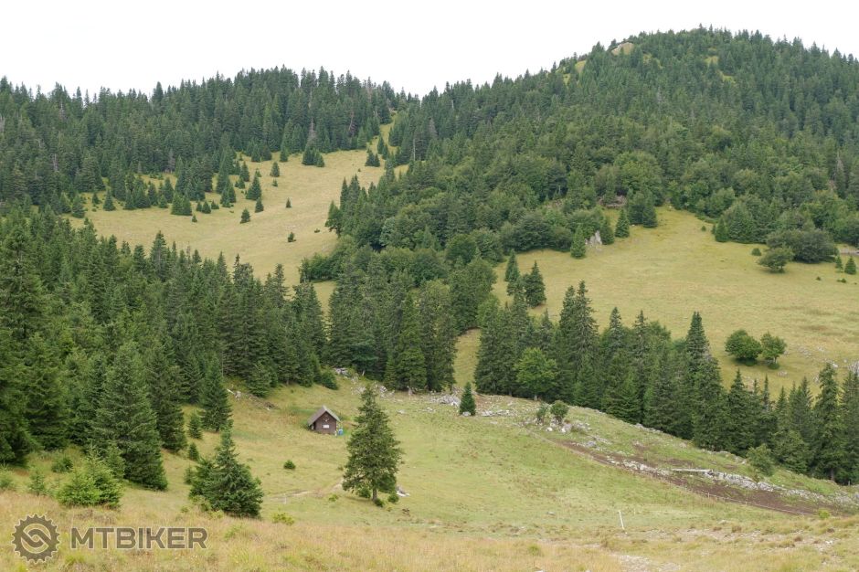 20190811_10-12-14_1-200 sec at f - 5,6_ISO 200_65 mm_VF9997.jpg