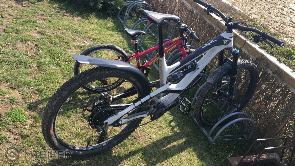 20190317_113820165_iOS - Copy.jpg