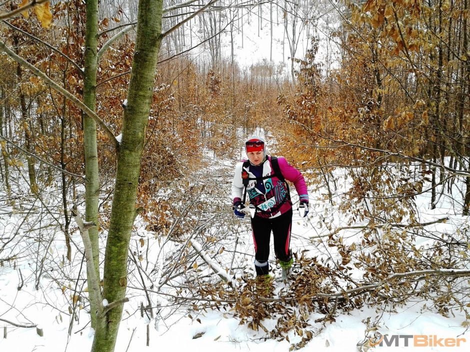 2013-01-20 11.10.35.jpg