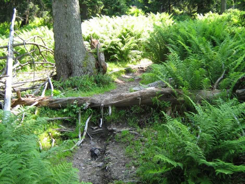 Martinky 3.7.09-6.7.09 144.jpg