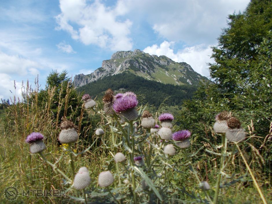 Mrdziholie19 015.JPG