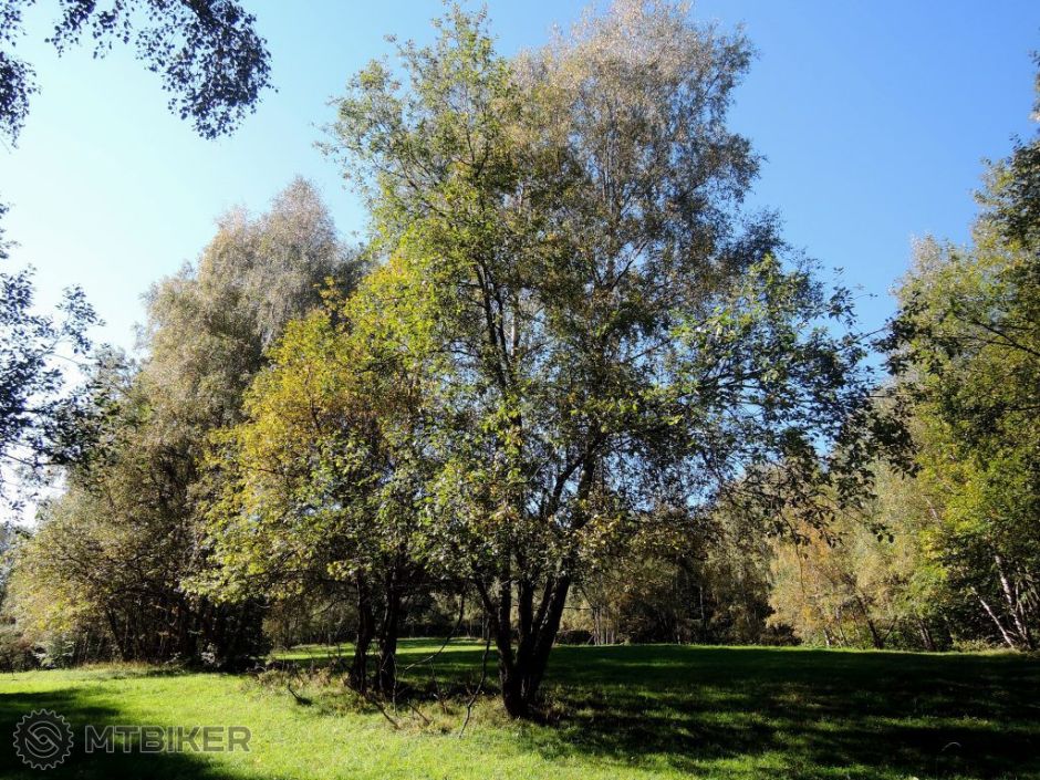 _cergov_17okt 447.JPG