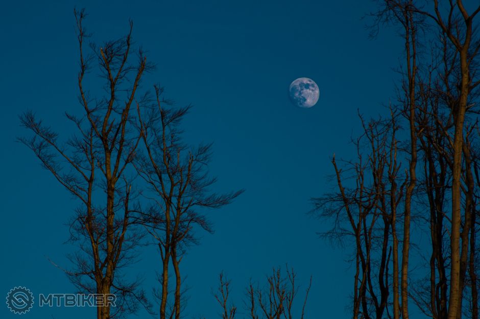 bodoň 15-01-2022.JPG