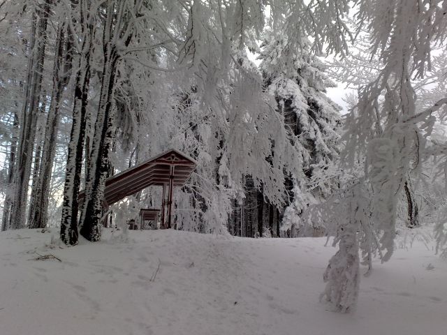 Copy of 21122008626.jpg